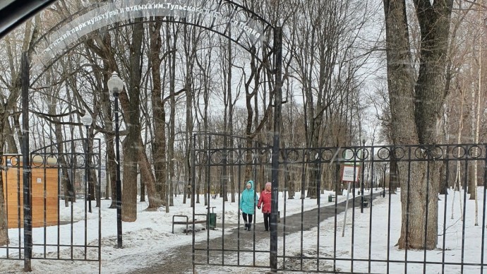 В Рогожинском парке удалят опасные деревья