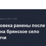 Три человека ранены после атаки дронов на брянское село Курковичи