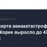 Число жертв авиакатастрофы в Южной Корее выросло до 47 человек