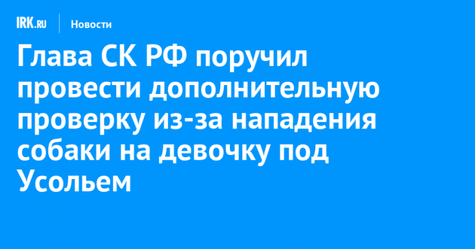 Глава СК РФ поручил провести дополнительную проверку из-за нападения собаки на девочку под Усольем