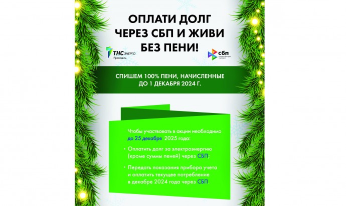 Жителям Ярославской области спишут пени при оплате электроэнергии через СБП