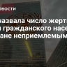 ООН назвала число жертв среди гражданского населения в Ливане неприемлемым