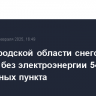 В Новгородской области снегопад оставил без электроэнергии 542 населенных пункта