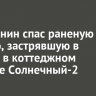 Иркутянин спас раненую косулю, застрявшую в заборе в коттеджном поселке Солнечный-2