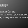 После стрельбы на Комендантском проспекте в изолятор отправились четверо