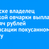 В Саянске владелец овчарки выплатит 70 тысяч рублей компенсации покусанному ребенку