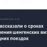 В РСТ рассказали о сроках оформления шенгенских виз для новогодних поездок