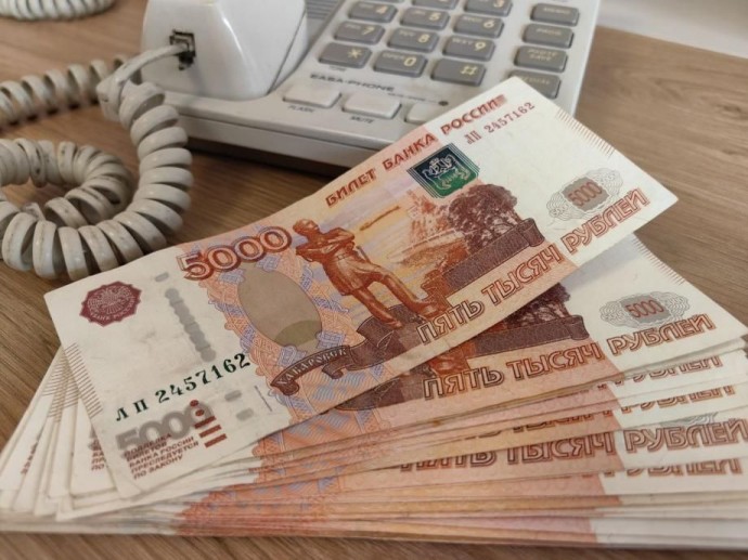 Крупно задолжали. Уклонявшаяся от налогов приморская компания лишилась 290 миллионов рублей