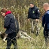 Под Калининградом поймали браконьера, застрелившего лося