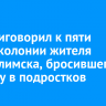 Суд приговорил к пяти годам колонии жителя Усть-Илимска, бросившего петарду в подростков