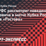 КДК РФС рассмотрит поведение Станковича в матче Кубка России против «Ростова»