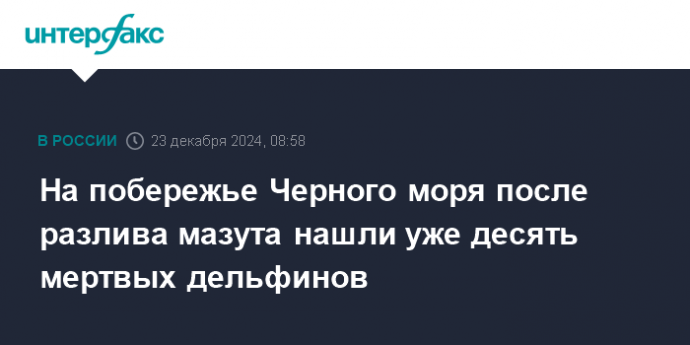 На побережье Черного моря после разлива мазута нашли уже десять мертвых дельфинов