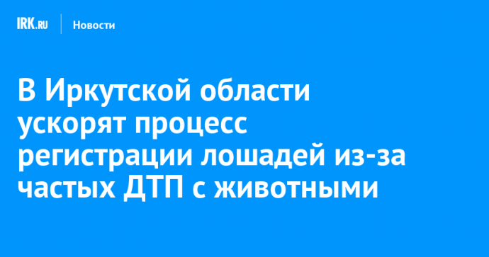 В Иркутской области ускорят процесс регистрации лошадей из-за частых ДТП с животными