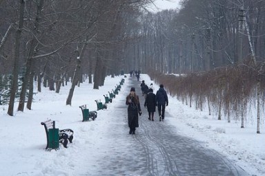 Ряд российских регионов останутся без снега