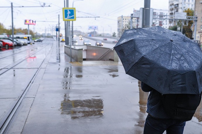 Мокрый снег и гололедица: в столице ухудшится погода