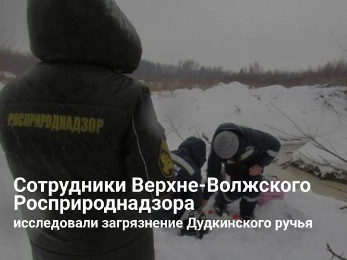 Сбрасывали сточные воды в ручей: на ярославском предприятии выявили нарушения