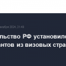 Правительство РФ установило квоту на мигрантов из визовых стран в 2025 году