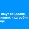 В Зиме ищут вандалов, повредивших надгробия на кладбище