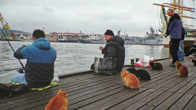 В «Петербургской фотолетописи» открылась выставка, посвященная красотам России