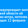 МЧС предупреждает жителей Иркутской области об усилении ветра, метелях и снегопадах 12 февраля