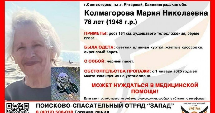 На плите грелся пустой чайник: в Калининградской области четвёртый день ищут загадочно исчезнувшую пенсионерку (видео)