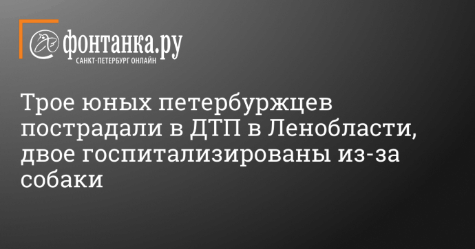 Трое юных петербуржцев пострадали в ДТП в Ленобласти, двое госпитализированы из-за собаки