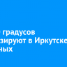 До +20 градусов прогнозируют в Иркутске на выходных