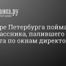 На севере Петербурга поймали семиклассника, палившего из травмата по окнам директора школы...