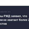 Замглавы РЖД заявил, что компании не хватает более 2,5 тыс. машинистов