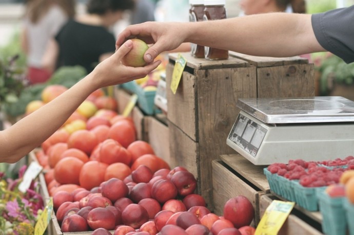 Региональные продукты в Германии — гарантия качества или маркетинговая уловка