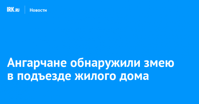 Ангарчане обнаружили змею в подъезде жилого дома