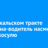 На Байкальском тракте женщина-водитель насмерть сбила косулю