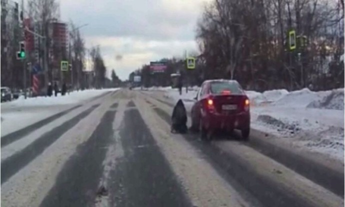 В Ярославле перебегавший дорогу пешеход протаранил автомобиль