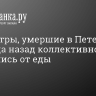 Три сестры, умершие в Петербурге, 2 месяца назад коллективно отказались от еды