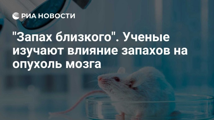 "Запах близкого". Ученые изучают влияние запахов на опухоль мозга