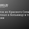 Подросток из Красного Села помог отцу и уехал в больницу в тяжелом состоянии