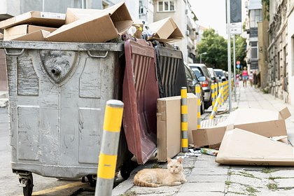 Женщина рылась в мусоре и сделала жуткую находку