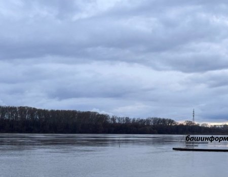 В Башкирии в воде нашли тело мужчины