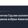 Президентом Грузии коллегией выборщиков избран Кавелашвили