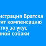 Администрация Братска выплатит компенсацию подростку за укус бездомной собаки