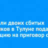 Родители двоих сбитых мальчиков в Тулуне подали апелляцию на приговор суда