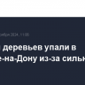 Десятки деревьев упали в Ростове-на-Дону из-за сильного ветра