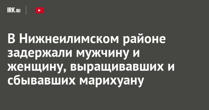 В Нижнеилимском районе задержали мужчину и женщину, выращивавших и сбывавших марихуану