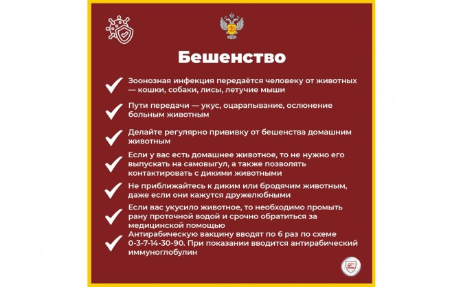 В Ярославской области в этом году бешенство выявили у восьми животных