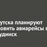 Из Иркутска планируют возобновить авиарейсы в Нижнеудинск