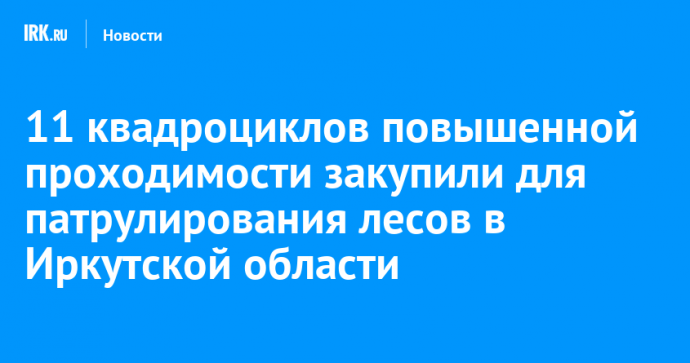 11 квадроциклов повышенной проходимости закупили для патрулирования лесов в Иркутской области