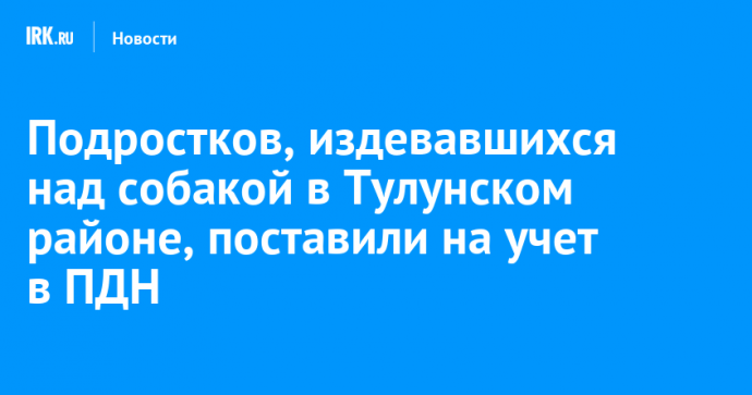 Подростков, издевавшихся над собакой в Тулунском районе, поставили на учет в ПДН