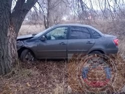 "Гранта" с двумя детьми врезалась в дерево