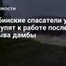 Челябинские спасатели утром приступят к работе после прорыва дамбы