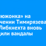 «Верблюжонка» на пересечении Тимирязева и Карла Либкнехта вновь повредили вандалы